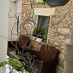 Centar - Mozzira