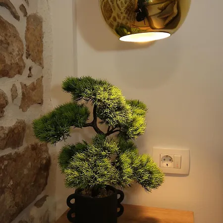 Centar - Mozzira 자다르